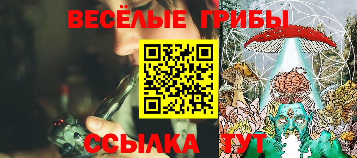 Железногорск  Галлюциногенные грибы Psilocybe  Вход с VPN 